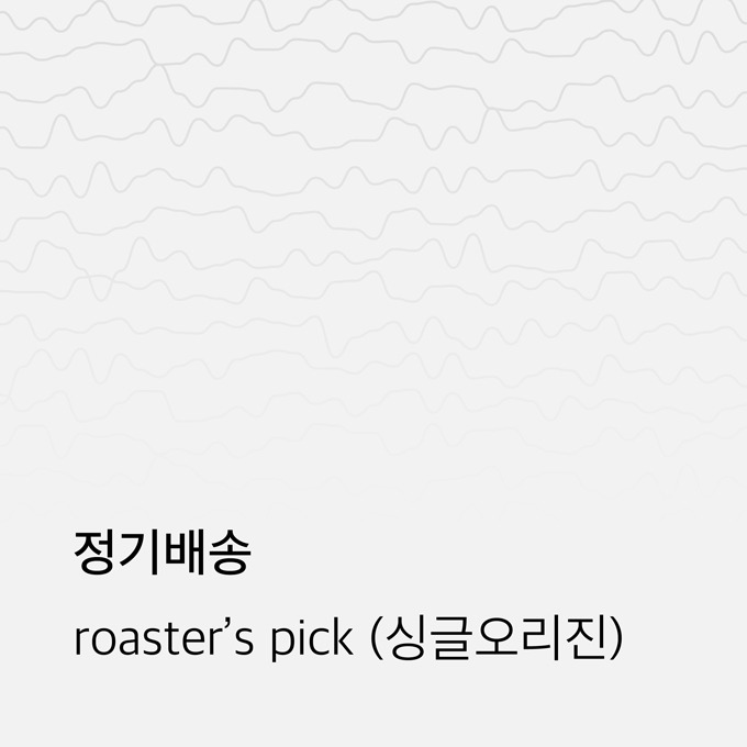 [정기배송] Roaster&#039;s Pick (스페셜티 싱글오리진)